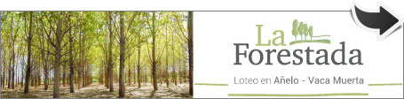 La Forestada - Vaca Muerta - Neuquén